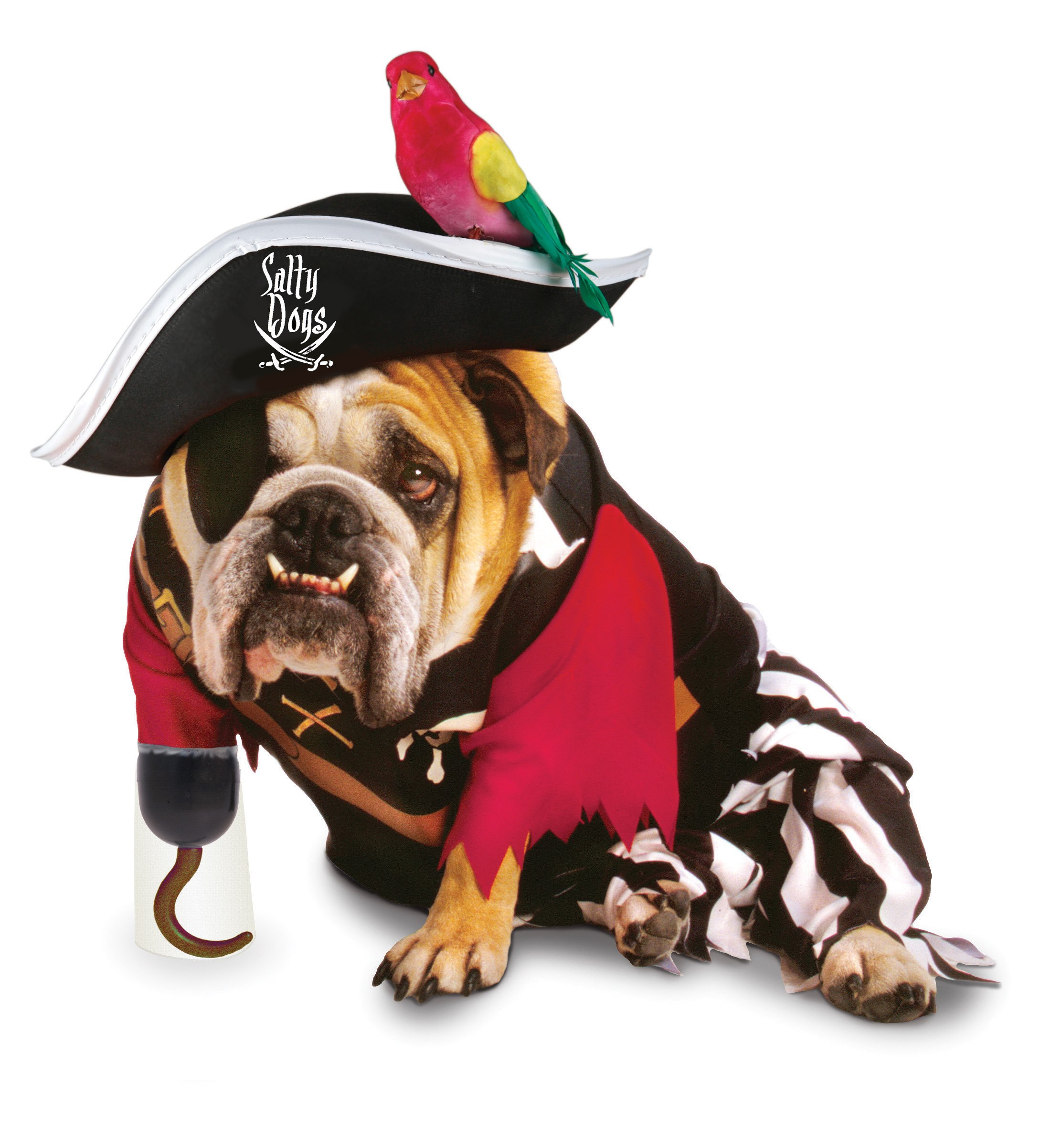 salty dogs.png